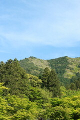 Fototapeta na wymiar 日本の春の美しい風景　兵庫県丹波市の新緑の山