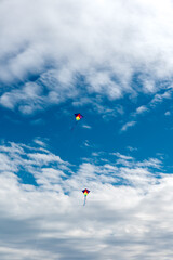 Colorful Kites flying over the sky