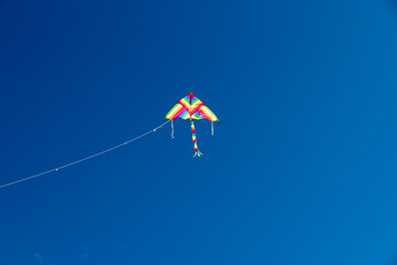 Colorful Kites flying over the sky