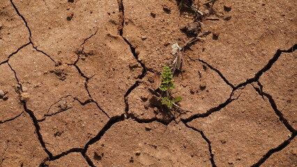 Climate change drought land. Global warming issue, cracked mud in the bottom of a river
