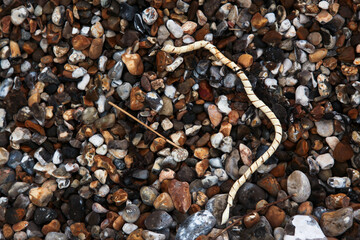 Rubbish Serpentr on the Beach