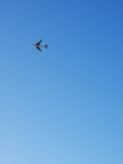 The big four-engine transport airplane is flying far away in the blue sky. Vertical illustration about international air freight
