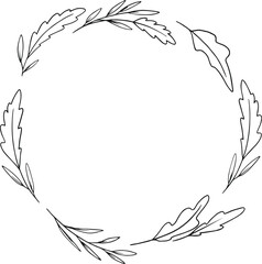 collection forest fern eucalyptus art foliage natural
leaves herbs in line style. Decorative beauty, elegant illustration 
for design: Vector flower Botanical