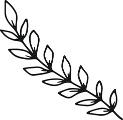 collection forest fern eucalyptus art foliage natural
leaves herbs in line style. Decorative beauty, elegant illustration 
for design: Vector flower Botanical