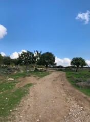 Ground roads and pathway in the fields 