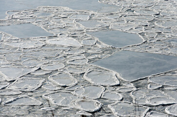 The sea ice sheet is melting, and many small pieces of ice are floating and drifting around. A calm ocean with lots of small icebergs drifting around. selective focus