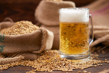 beer ingredients:barley near beer glass