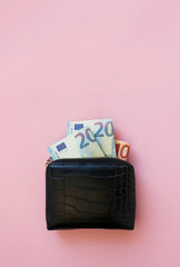 wallet and euro money. business, finance, saving, banking concept. copy space. background for economic news.