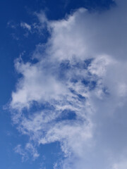Fototapeta na wymiar Funny clouds like animal face