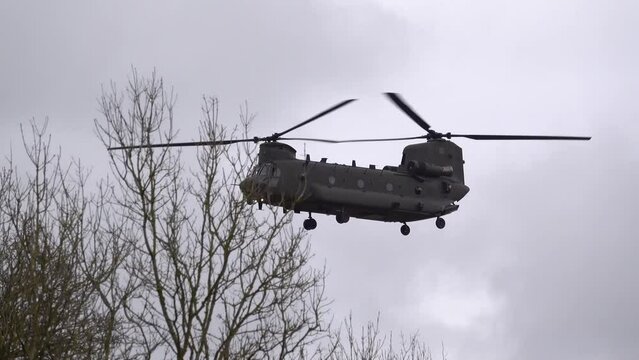 close-up of an RAF Chinook UH-1 helicopter flying very low on approach to land on a military exercise, descends behind a tree line, cloudy blue grey and white winter sky