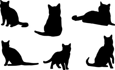 American Short Hair Cat Silhouette Bundle SVG