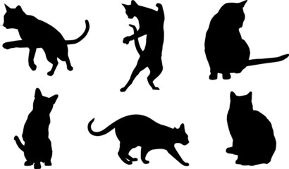 Burmese Cat Silhouette Bundle SVG