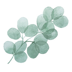 Watercolor green bouquet with leaves and branches. Greenery leaf hand-painted isolated. Can be used as being an element in the decorative design of invitation, wedding or greeting cards.