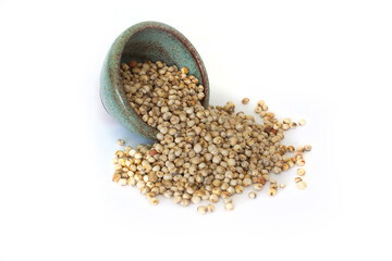 Organically Grown Milo or Sorghum Spilled from Green Pottery Bowl and Isolated on White
