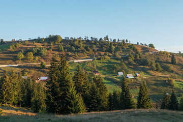 Landscape of coniferous trees and mountains in Romania