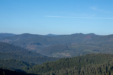 Lanscape of hill covered in coniferous trees in Lupcina, Romania mountains