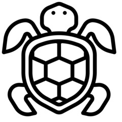 Obraz premium turtle