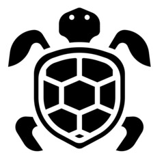 Obraz premium turtle