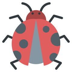 lady bug