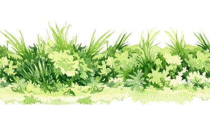 Green grass seamless border. Watercolor illustration. Lush grass close up meadow element. Fresh herbs and natural plants seamless border