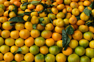 Image of a tangerine counter