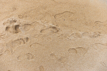Fototapeta na wymiar Footprints of people walking on the sand
