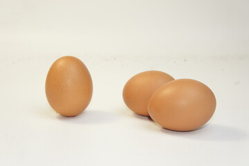 Close up photo of chicken eggs