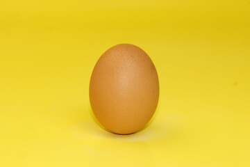 Close up photo of chicken eggs