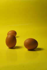Close up photo of chicken eggs