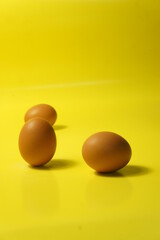 Close up photo of chicken eggs