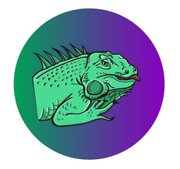 green iguana illustration