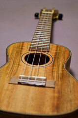 Fototapeta premium ukulele close up