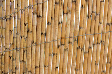 Reed screening texture, Natural Willow Garden Fence, Bamboo texture background.