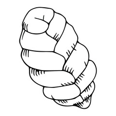 Braided bread isolated on white background. Bakery product. Hand Drawn vector illustration.