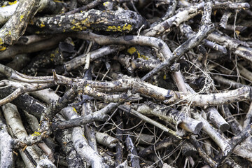Fuel wood logs