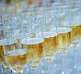Crystal glasses for holiday, a lot of glasses for guests