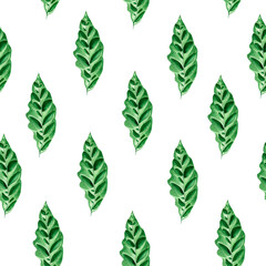 Naklejka na ściany i meble Decorative monstera leaf watercolor seamless pattern. Template for decorating designs and illustrations.