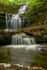 waterfall in the forest