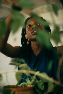Young African american woman fixing her plants in studio 