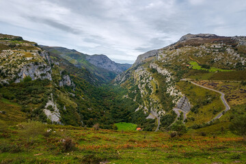 The Asón Valley is a Valley of Cantabria, located in northern Spain. It stands out for its rugged...