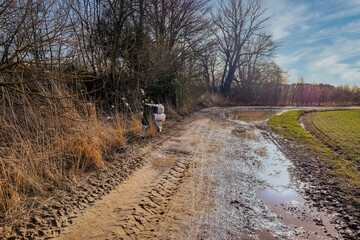 Umweltverschmutzung durch Entsorgung alter Autoreifen in der Natur