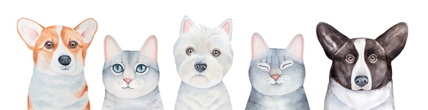 Watercolour set of five different cute pets: grey tabby kittens, West Highland White Terrier and Welsh Corgi puppies. Hand painted water color graphic drawing, cutout design elements for decoration.