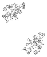 Floral frame with primula flowers. Line art illustration isolated on a white background.
