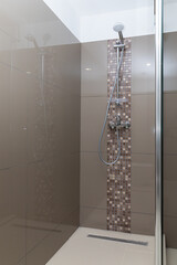 Modern design of the shower cabin with a piece of vertical mosaic on one of the walls