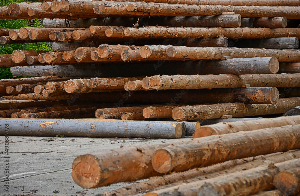 Sticker Photo of cut logs on the street