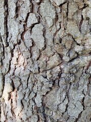 texture