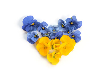Heart shape in the colors of the Ukrainian flag from blue and yellow pansy flowers symbol of...