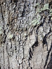 texture