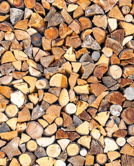 Pieces of firewood