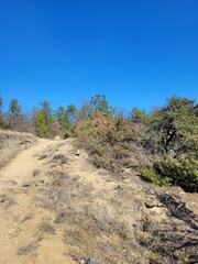 landscape with sky